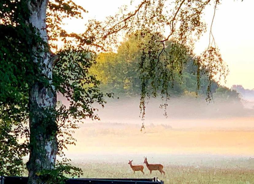 Meiks Ostseehuetten ดรันส์เคอ ภายนอก รูปภาพ